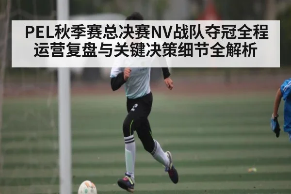 PEL秋季赛总决赛NV战队夺冠全程运营复盘与关键决策细节全解析
